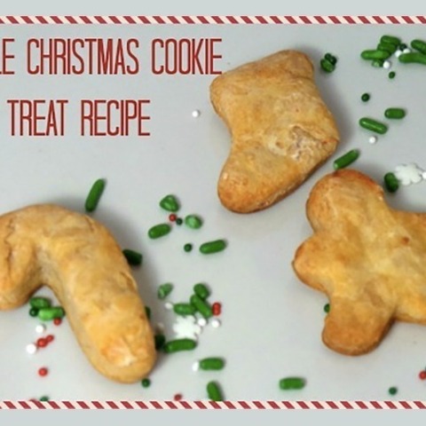≪DIY≫クリスマスにもピッタリ！愛犬用手作りクッキーの作り方☆