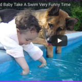 《夏だ！プールだ！》犬かきワンちゃんの背に捕まる子供が楽しそう♪