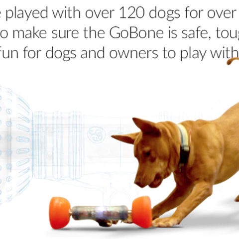 忙しい飼い主の救世主!?　自動で愛犬と遊ぶ「GoBone」が画期的！