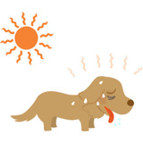 犬の熱中症は一刻も早い応急処置が重要！対処法と予防のコツ！