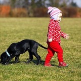 犬は子供を嫌う？仲良くするための方法や子供好きの犬種について