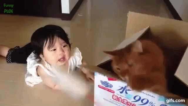 おもしろ動画 愛猫の行動に爆笑する赤ちゃん達 Animo アニモ